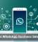AI Makes WhatsApp Business Setup Easier